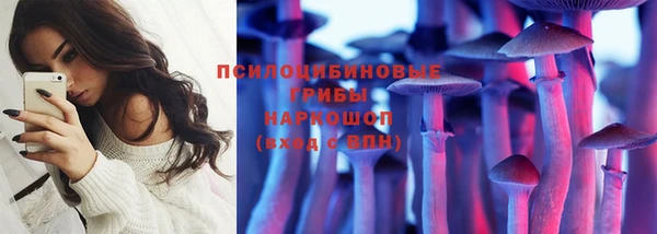 гидра Каменск-Шахтинский
