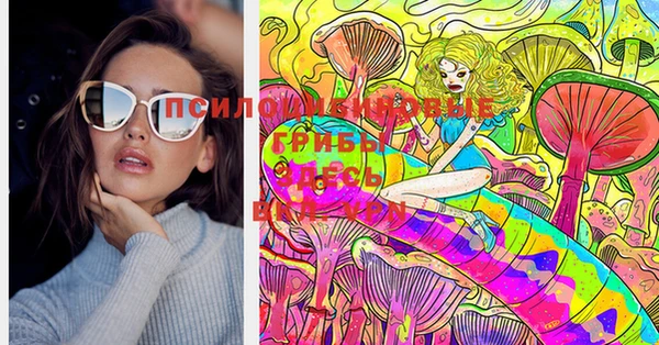 марки lsd Каменногорск