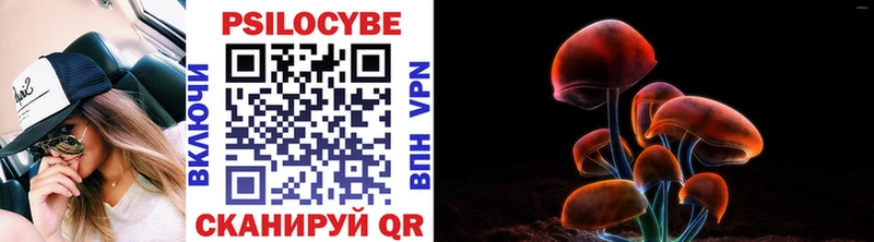 Псилоцибиновые грибы MAGIC MUSHROOMS  Купить где  Ипатово 